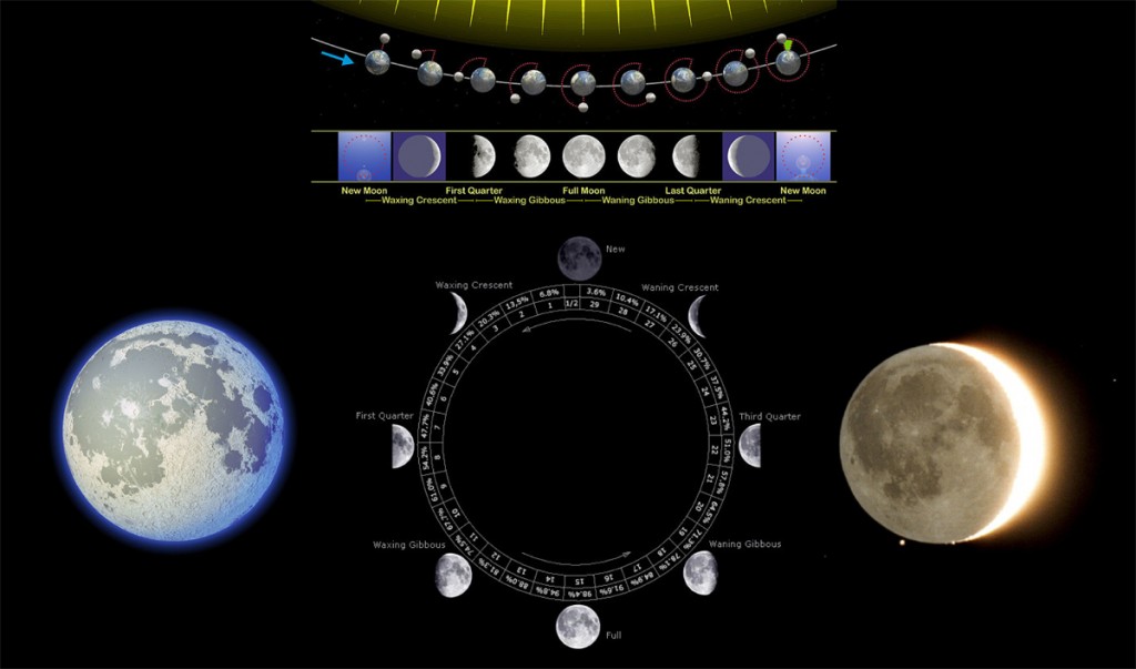 Understanding the Moon Phases – Cosmic-Watch